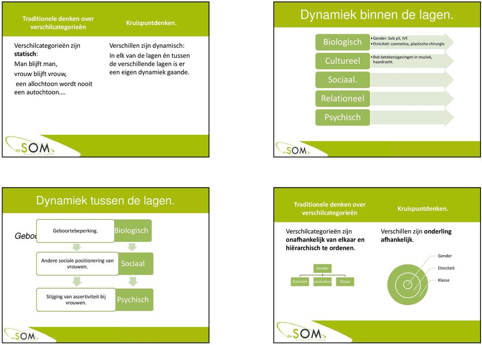 Relationeel Psychisch Gender: bvb pil, IVF. Etniciteit: cosmetica, plastische chirurgie Bvb betekenisgevingen in muziek, haardracht. Dynamiek tussen de lagen. Geboortebeperking.