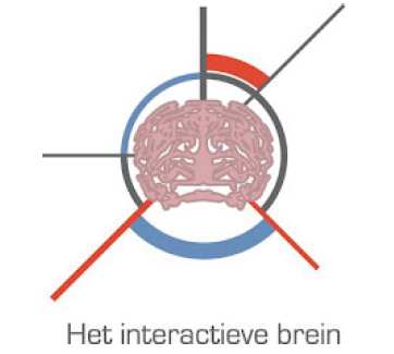 De 24-uurs regulatie van slapen en waken en het belang voor een goede gezondheid Marijke C.