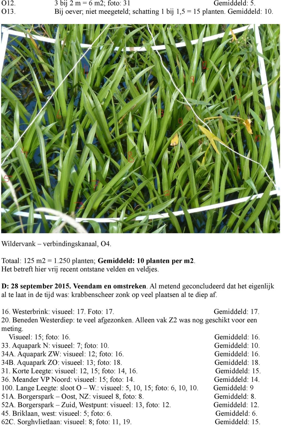 Al metend geconcludeerd dat het eigenlijk al te laat in de tijd was: krabbenscheer zonk op veel plaatsen al te diep af. 16. Westerbrink: visueel: 17. Foto: 17. Gemiddeld: 17. 20.