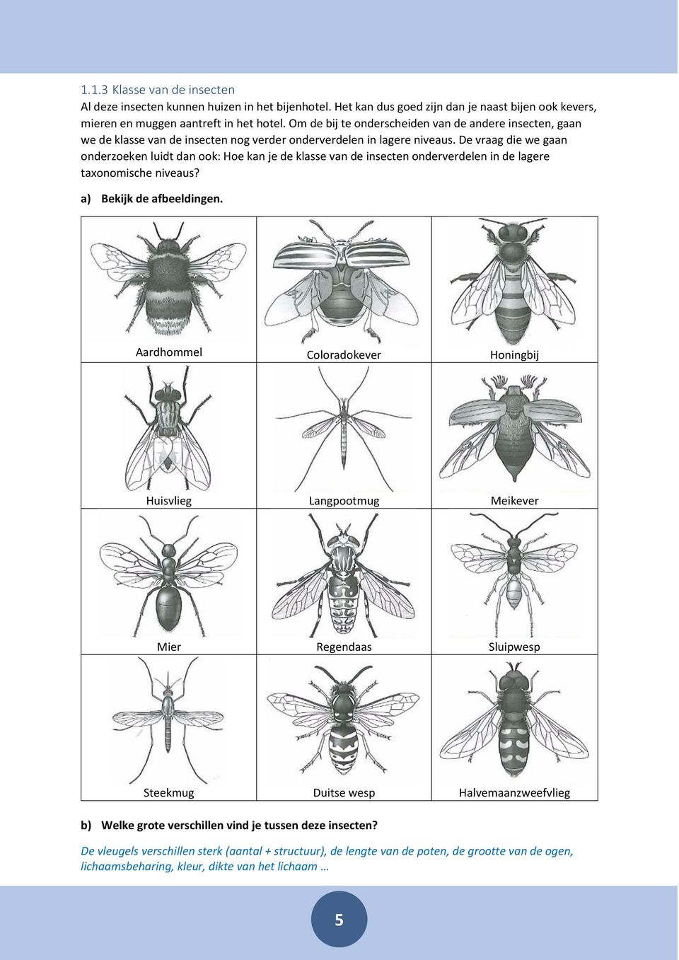 De vraag die we gaan onderzoeken luidt dan ook: Hoe kan je de klasse van de insecten onderverdelen in de lagere taxonomische niveaus? a) Bekijk de afbeeldingen.