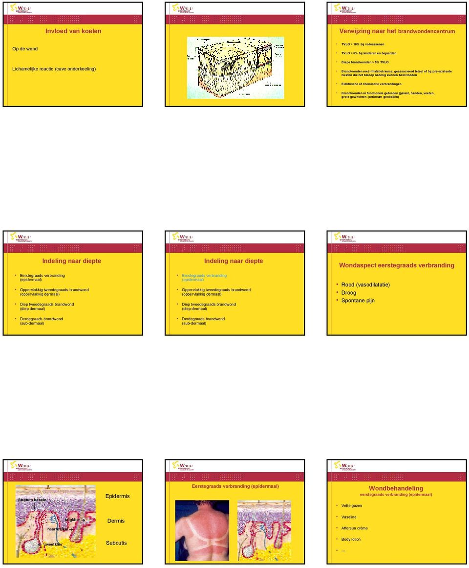 gebieden (gelaat, handen, voeten, grote gewrichten, perineum genitaliën) Wondaspect eerstegraads verbranding Eerstegraads verbranding Eerstegraads verbranding Rood (vasodilatatie) Droog Spontane