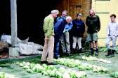 Daarom wilden we kennismaken met DE GROENEN HOF als een van de PROEFTUINEN VOOR ZAADVASTE RASSEN.