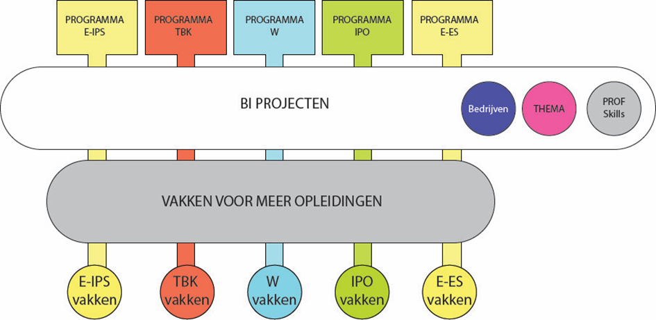 De professional skills doe je voornamelijk op in de projecten.