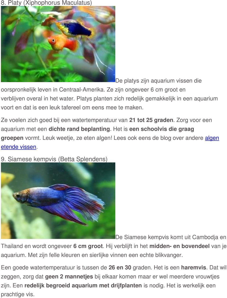 Zorg voor een aquarium met een dichte rand beplanting. Het is een schoolvis die graag groepen vormt. Leuk weetje, ze eten algen! Lees ook eens de blog over andere algen etende vissen. 9.