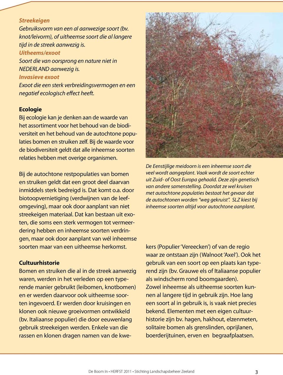 Ecologie Bij ecologie kan je denken aan de waarde van het assortiment voor het behoud van de biodiversiteit en het behoud van de autochtone populaties bomen en struiken zelf.