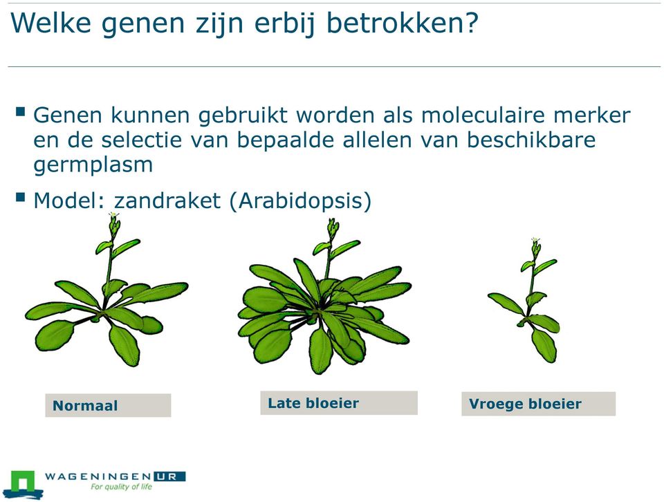 en de selectie van bepaalde allelen van beschikbare