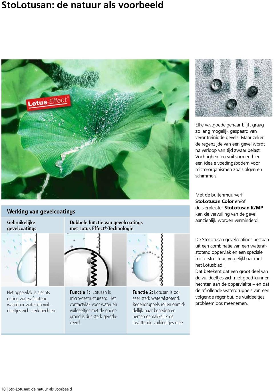 Werking van gevelcoatings Gebruikelijke gevelcoatings Dubbele functie van gevelcoatings met Lotus Effect -Technologie Met de buitenmuurverf StoLotusan Color en/of de sierpleister StoLotusan K/MP kan