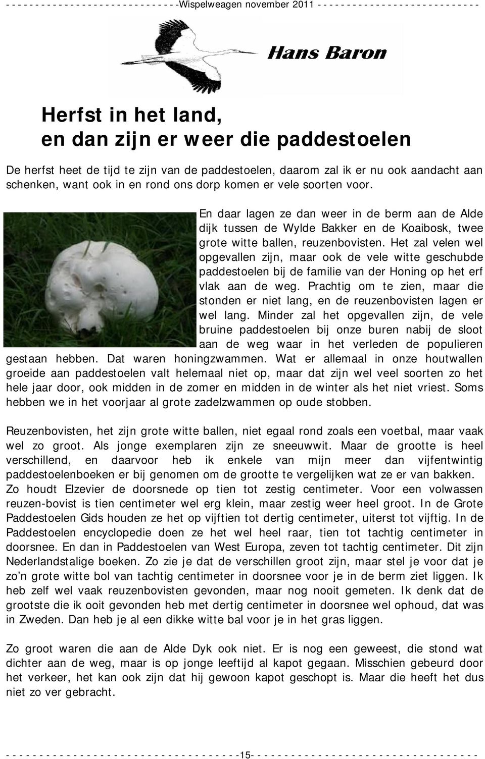 Het zal velen wel opgevallen zijn, maar ook de vele witte geschubde paddestoelen bij de familie van der Honing op het erf vlak aan de weg.