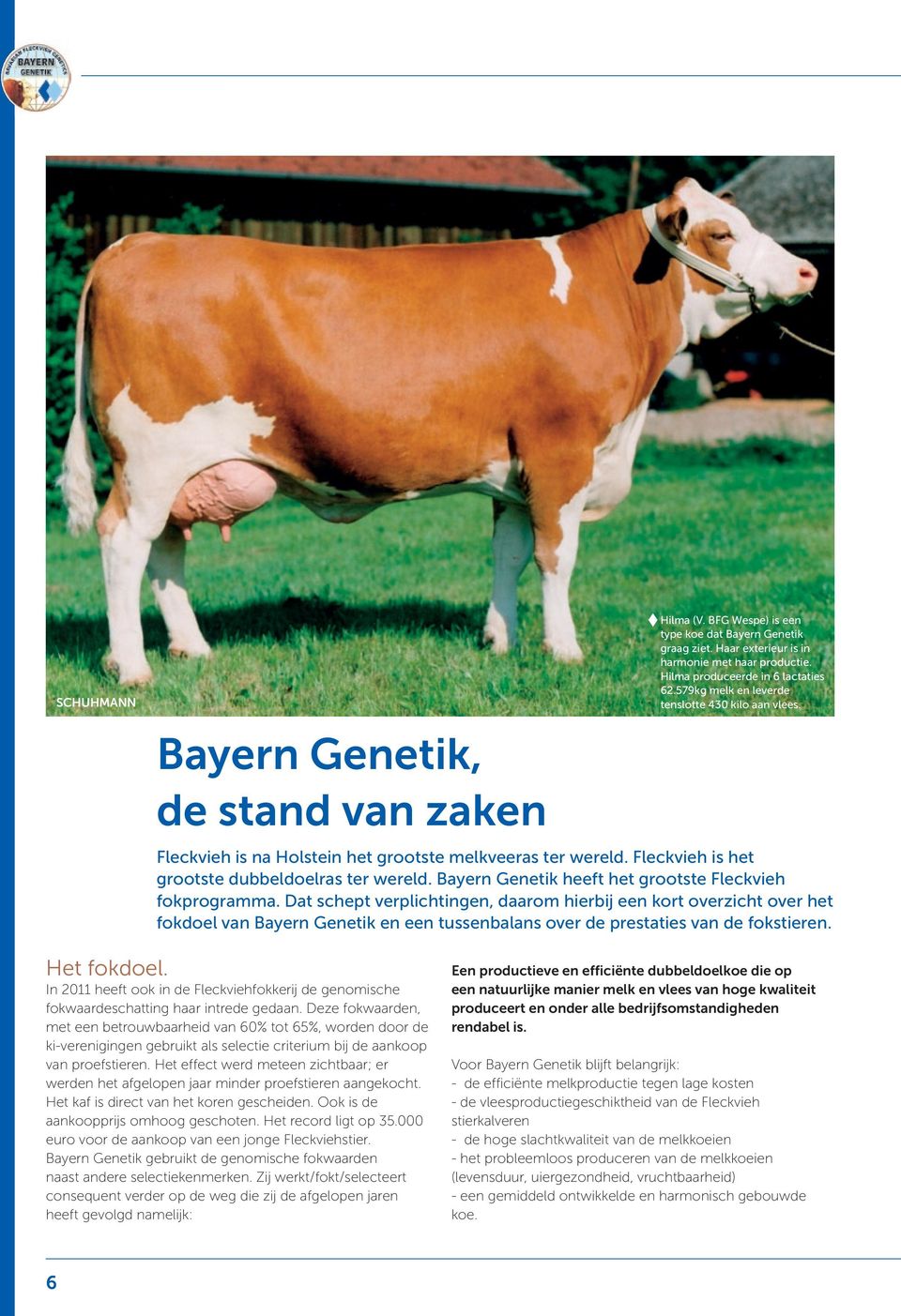 Bayern Genetik heeft het grootste Fleckvieh fokprogramma.