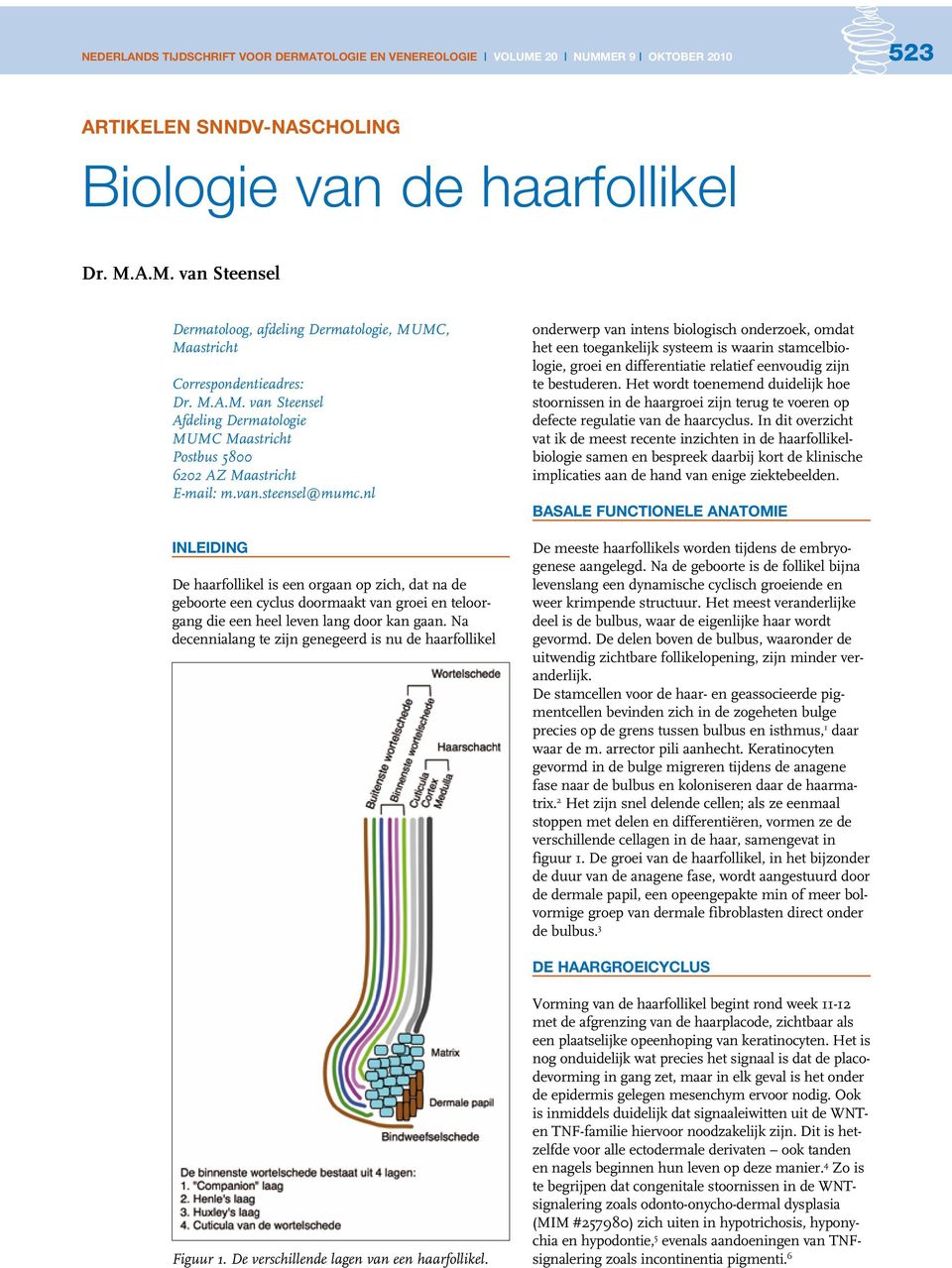 nl Inleiding De haarfollikel is een orgaan op zich, dat na de geboorte een cyclus doormaakt van groei en teloorgang die een heel leven lang door kan gaan.