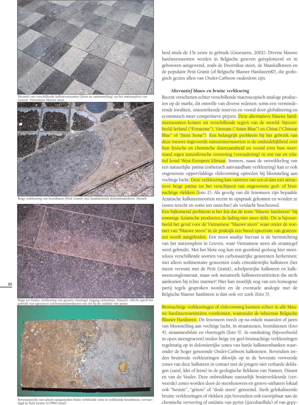 Hardsteen ), die geologisch gezien allen van Onder-Carboon ouderdom zijn. 22 Mozaïek van verschillende kalksteensoorten (kleur en samenstelling) op het stationsplein van Leuven.
