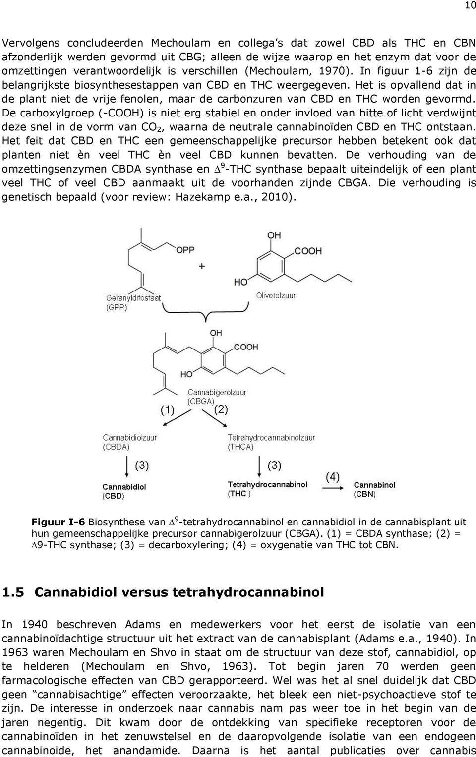 Het is opvallend dat in de plant niet de vrije fenolen, maar de carbonzuren van CBD en THC worden gevormd.