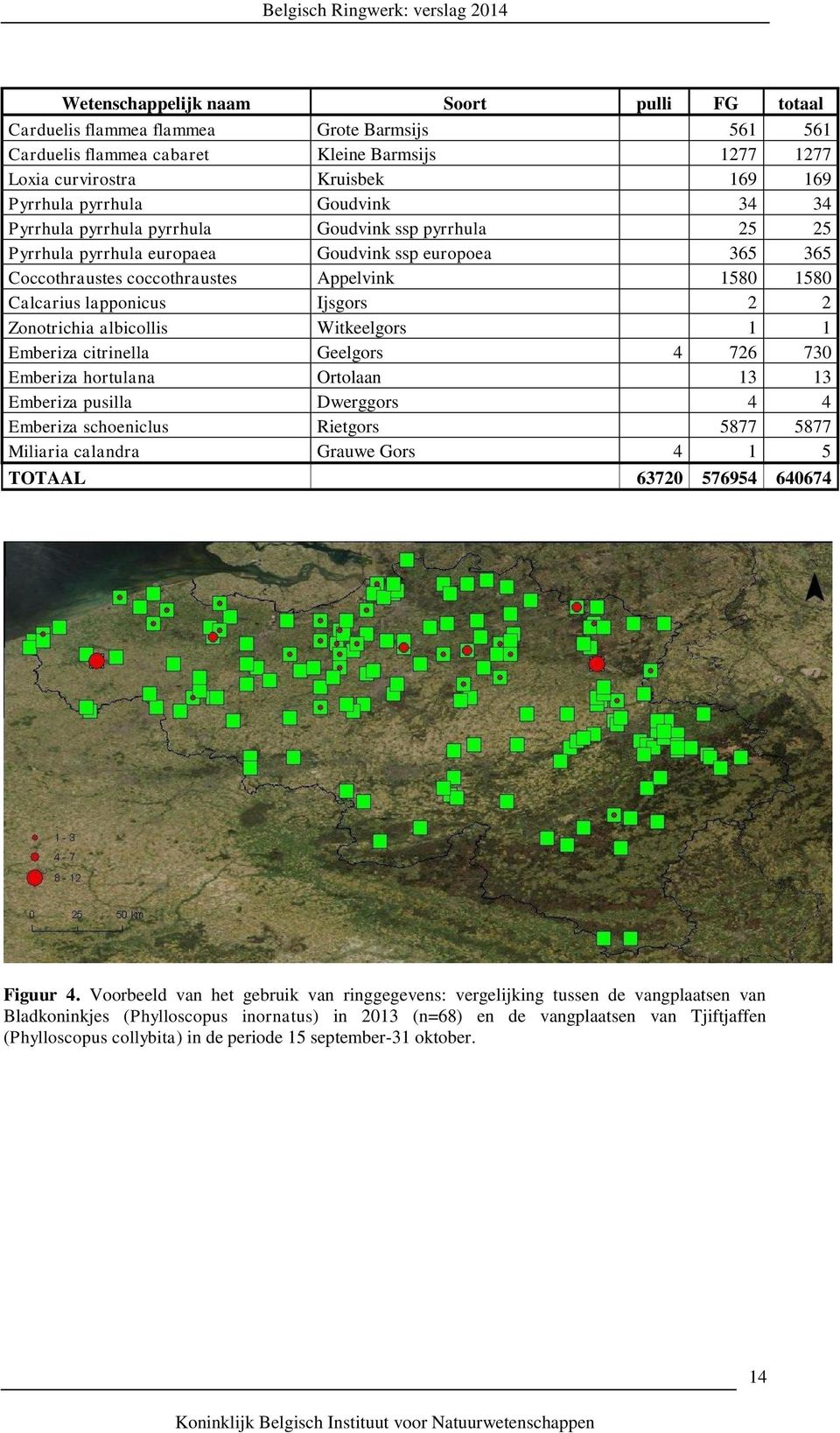 Ijsgors 2 2 Zonotrichia albicollis Witkeelgors 1 1 Emberiza citrinella Geelgors 4 726 730 Emberiza hortulana Ortolaan 13 13 Emberiza pusilla Dwerggors 4 4 Emberiza schoeniclus Rietgors 5877 5877