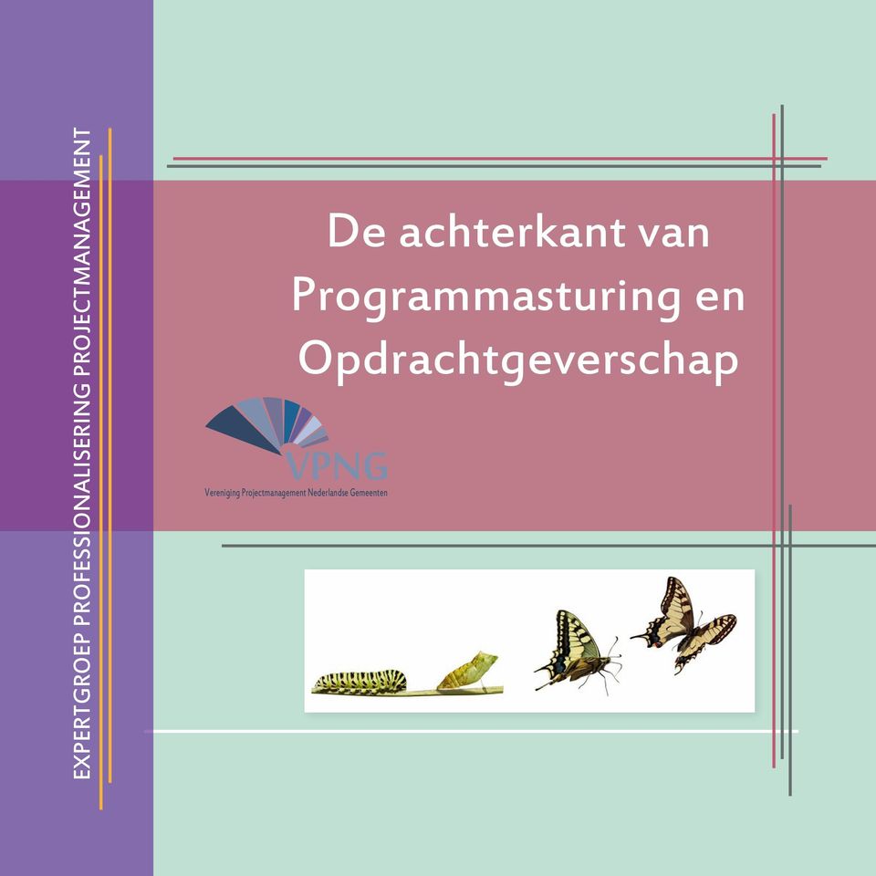 Programmasturing en VPNG Vereniging