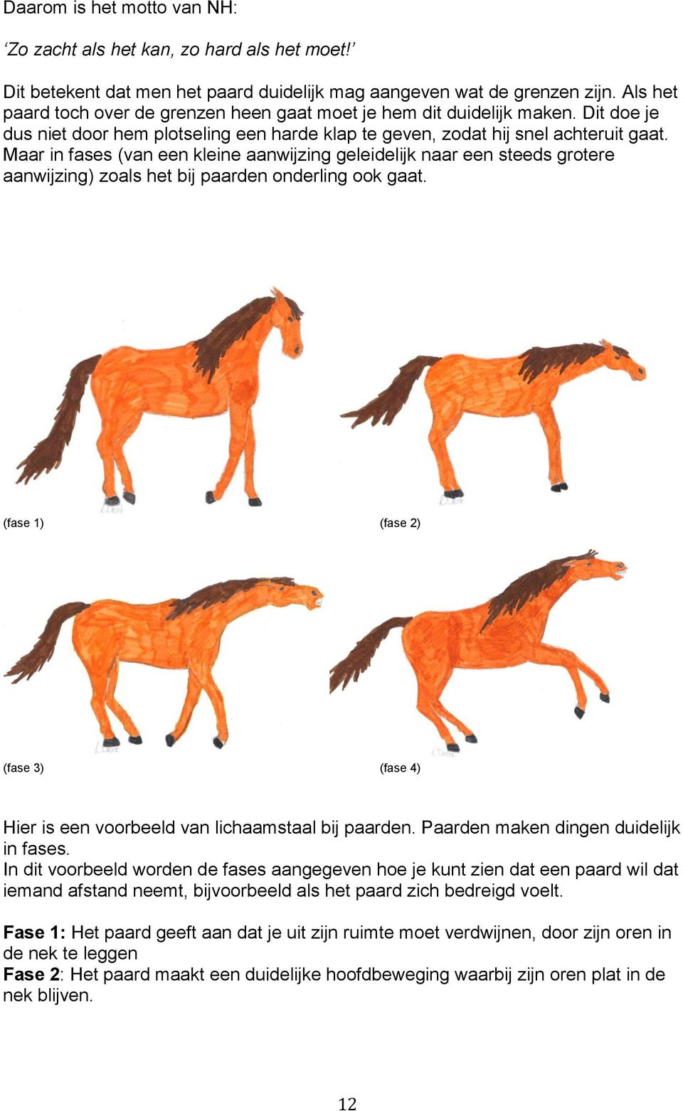 Maar in fases (van een kleine aanwijzing geleidelijk naar een steeds grotere aanwijzing) zoals het bij paarden onderling ook gaat.