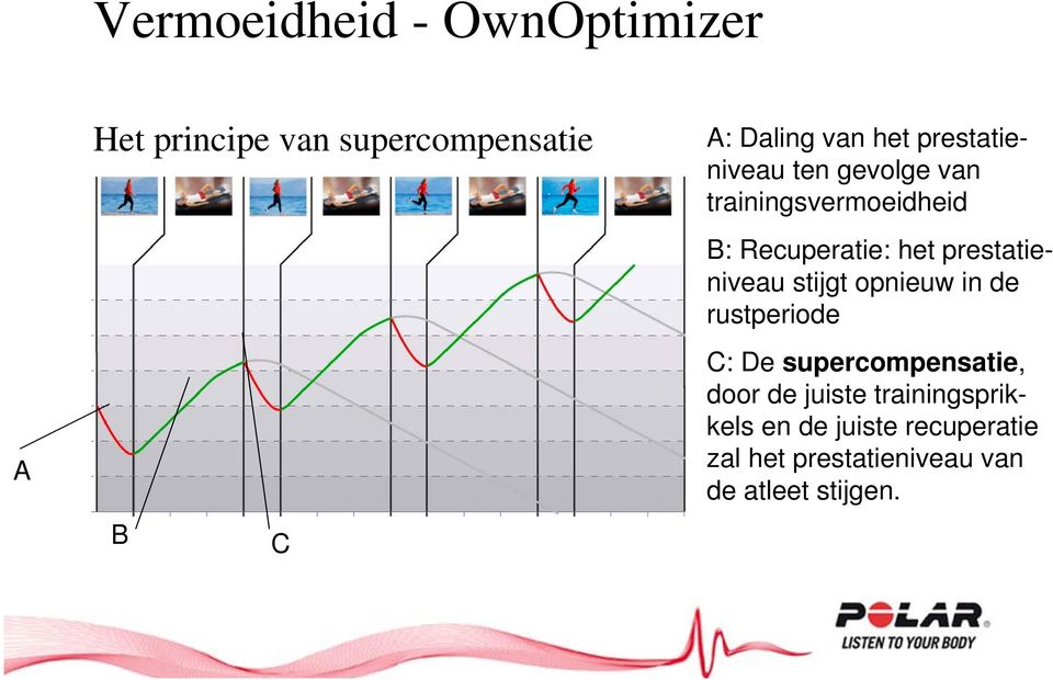 prestatieniveau stijgt opnieuw in de rustperiode C: De supercompensatie, door de