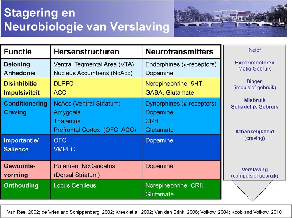 Thalamus Prefrontal Cortex (OFC, ACC) OFC Dynorphines (κ-receptors) Dopamine CRH Glutamate Dopamine Misbruik Schadelijk Gebruik Afhankelijkheid (craving) Salience VMPFC Gewoonte- vorming Putamen,