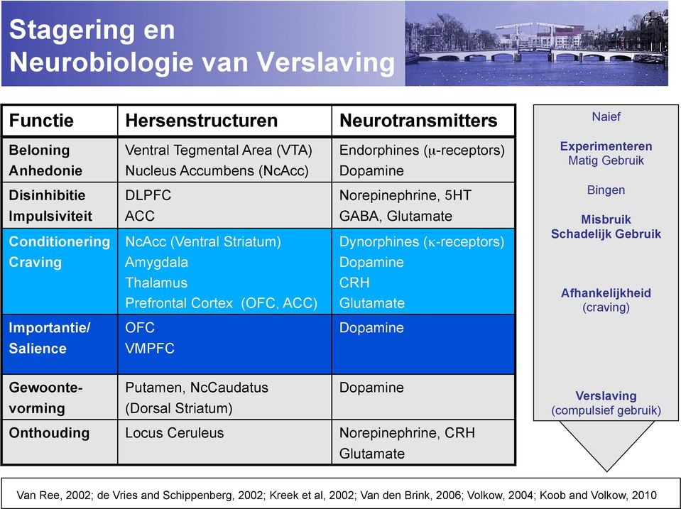 Gebruik Craving Amygdala Thalamus Prefrontal Cortex (OFC, ACC) Dopamine CRH Glutamate Afhankelijkheid (craving) Importantie/ OFC Dopamine Salience VMPFC Gewoonte- vorming Putamen, NcCaudatus (Dorsal