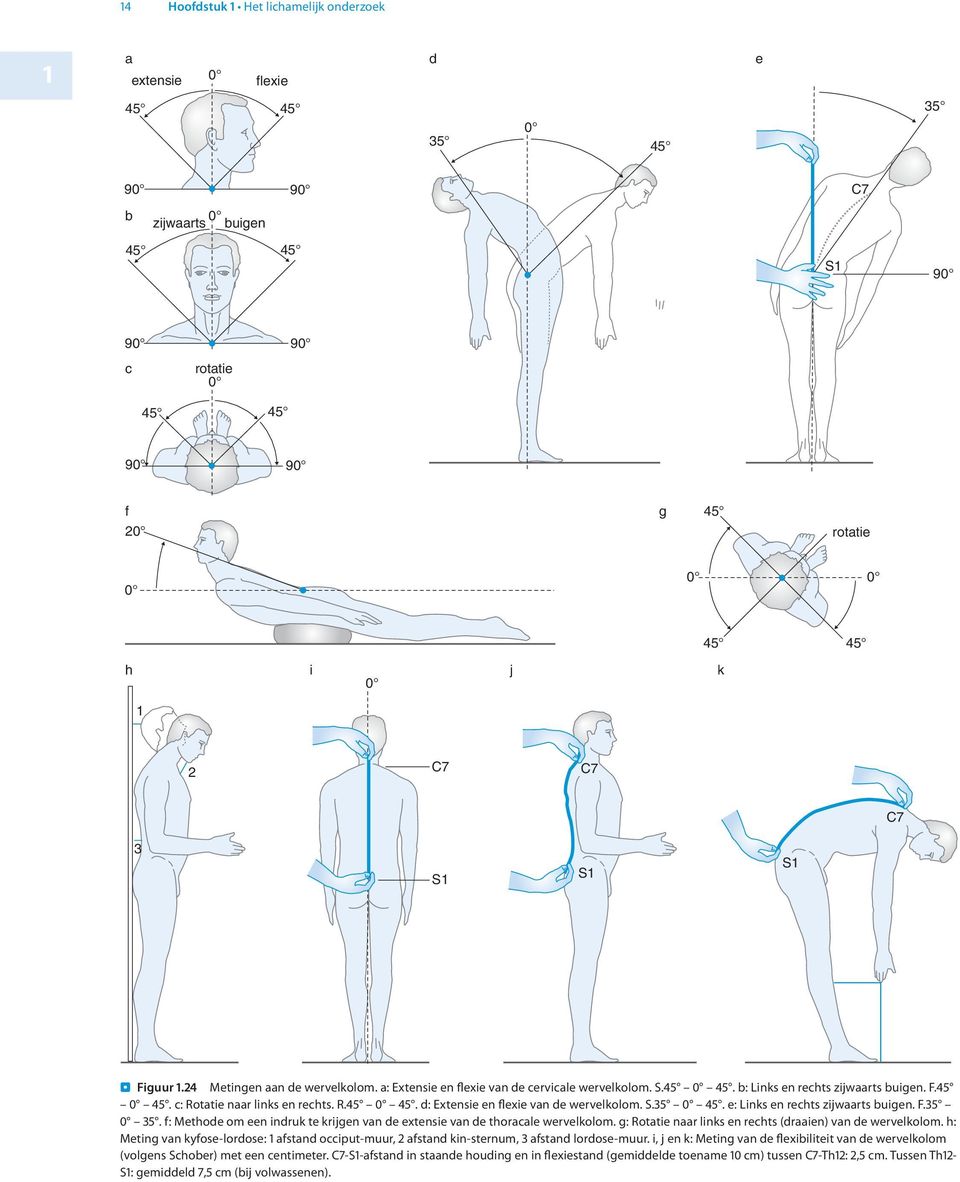S.35 45. e: Links en rechts zijwrts uigen. F.35 35. f: Methode om een indruk te krijgen vn de extensie vn de thorcle wervelkolom. g: Rottie nr links en rechts (drien) vn de wervelkolom.