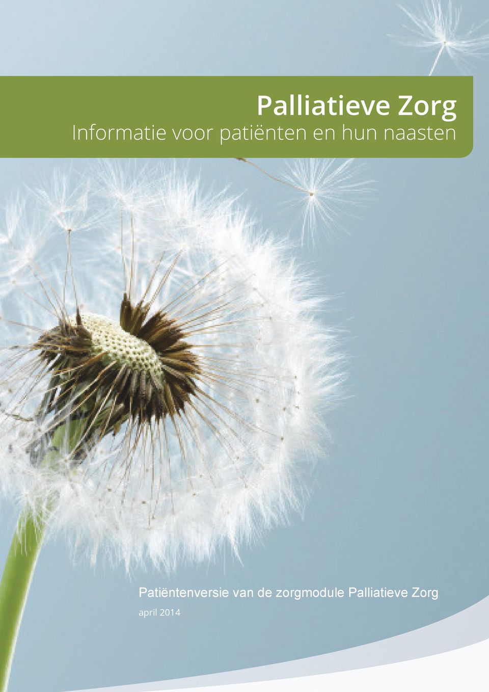 Patiëntenversie van de