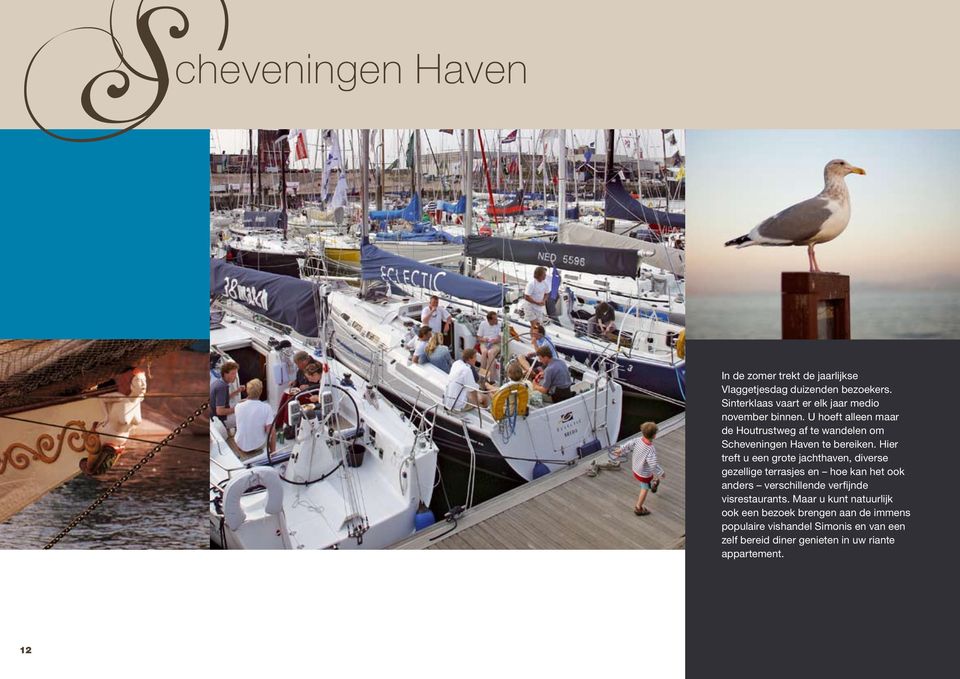 U hoeft alleen maar de Houtrustweg af te wandelen om Scheveningen Haven te bereiken.