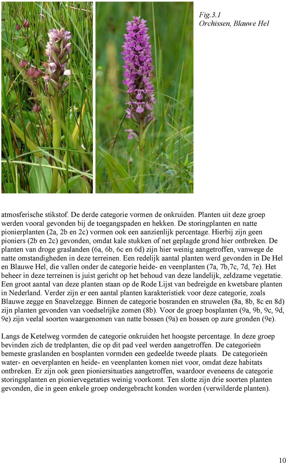 De planten van droge graslanden (6a, 6b, 6c en 6d) zijn hier weinig aangetroffen, vanwege de natte omstandigheden in deze terreinen.