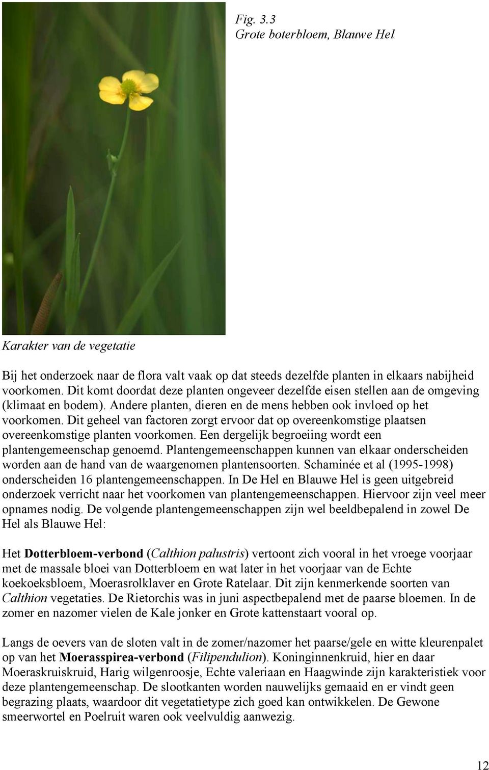 Dit geheel van factoren zorgt ervoor dat op overeenkomstige plaatsen overeenkomstige planten voorkomen. Een dergelijk begroeiing wordt een plantengemeenschap genoemd.