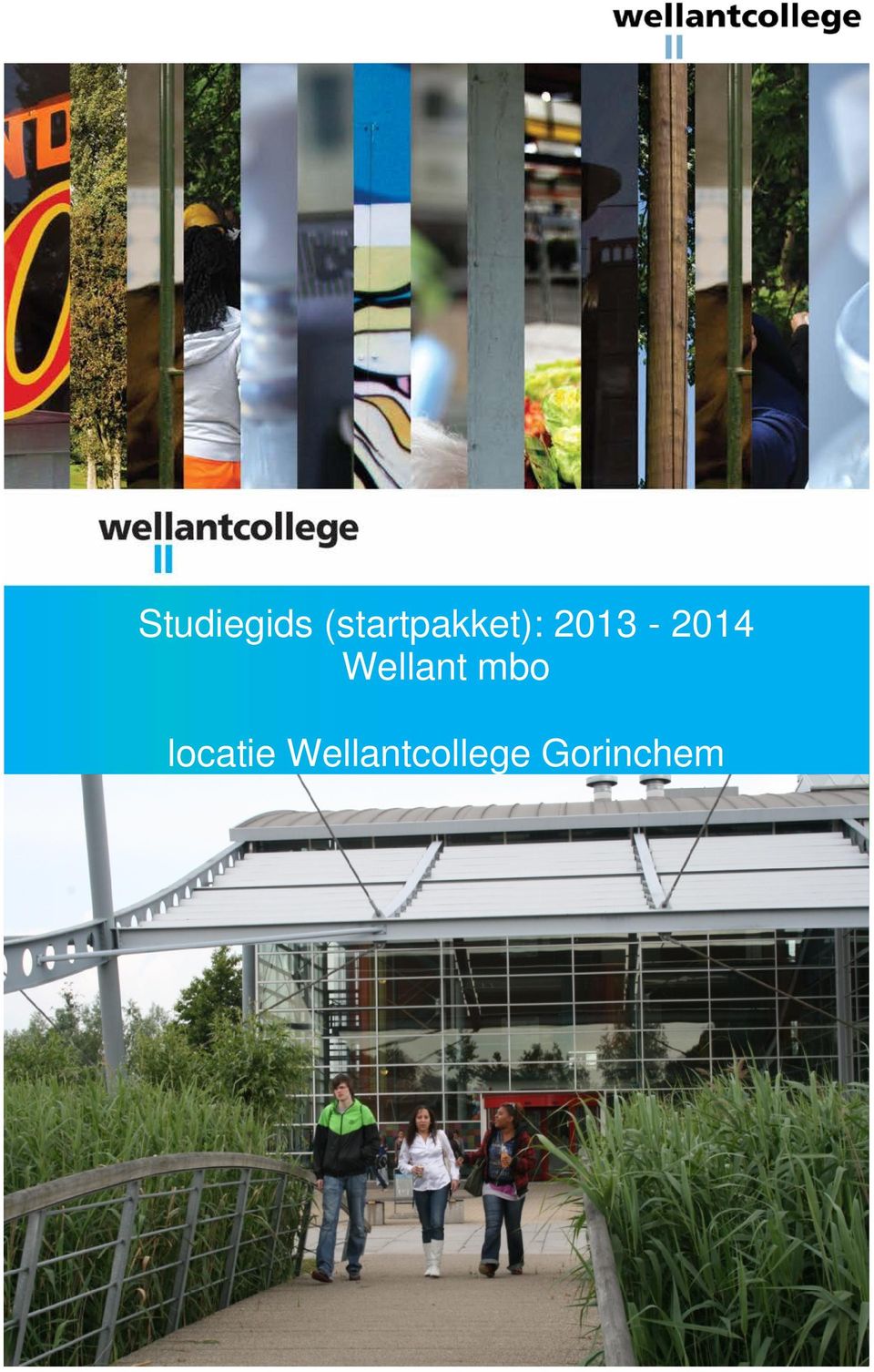 2013-2014 Wellant