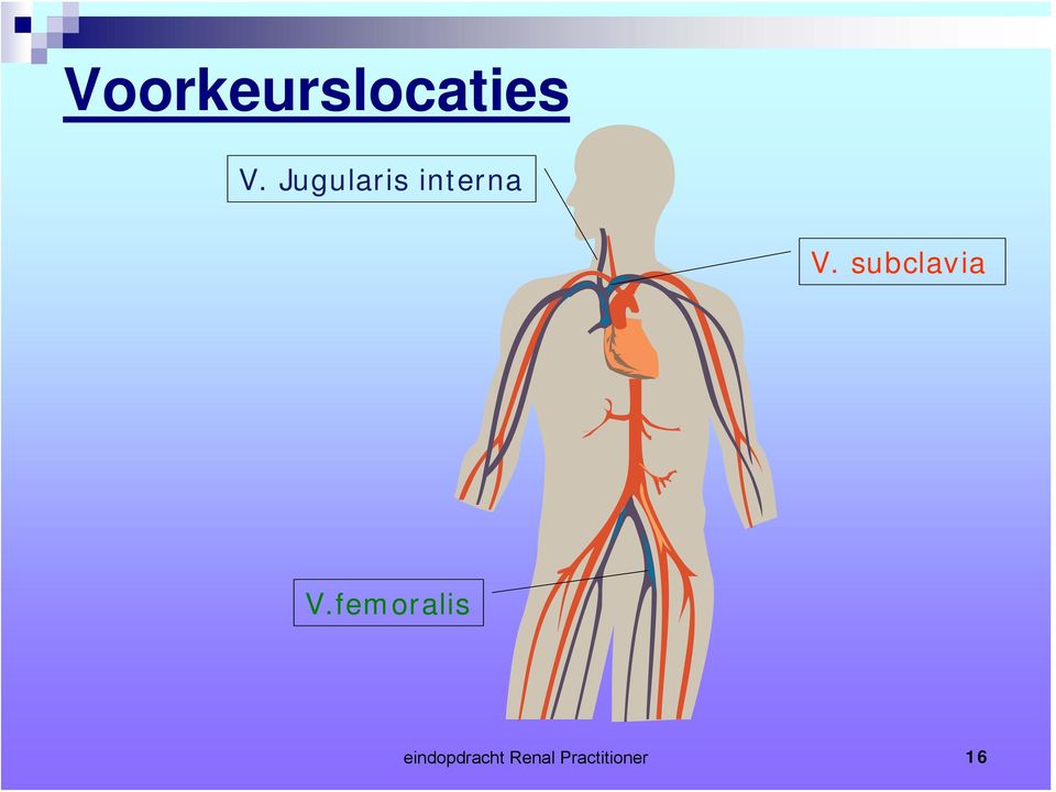 subclavia V.