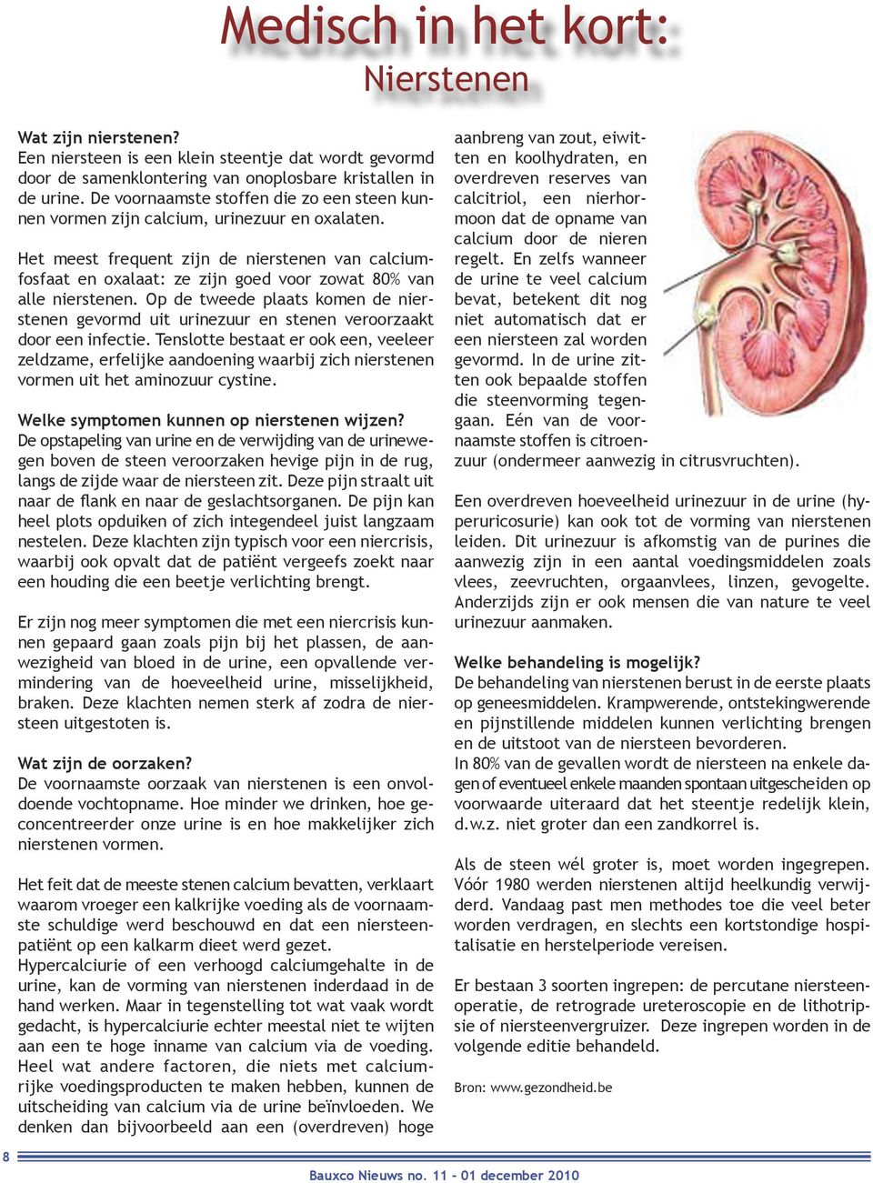 Het meest frequent zijn de nierstenen van calciumfosfaat en oxalaat: ze zijn goed voor zowat 80% van alle nierstenen.