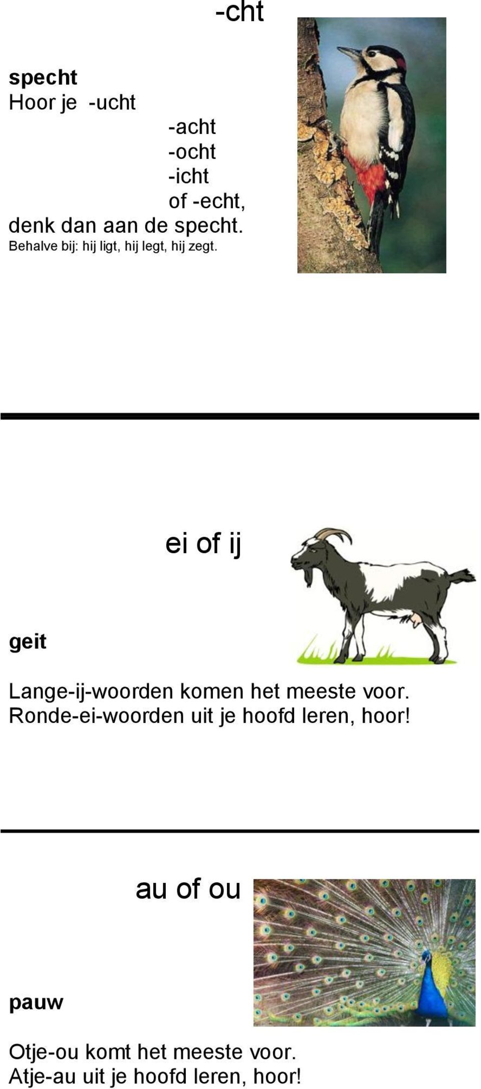 ei of ij geit Lange-ij-woorden komen het meeste voor.