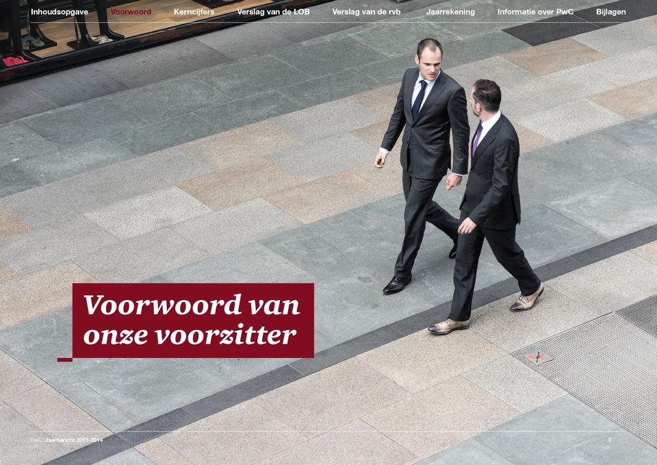 rvb Jaarrekening Informatie over PwC