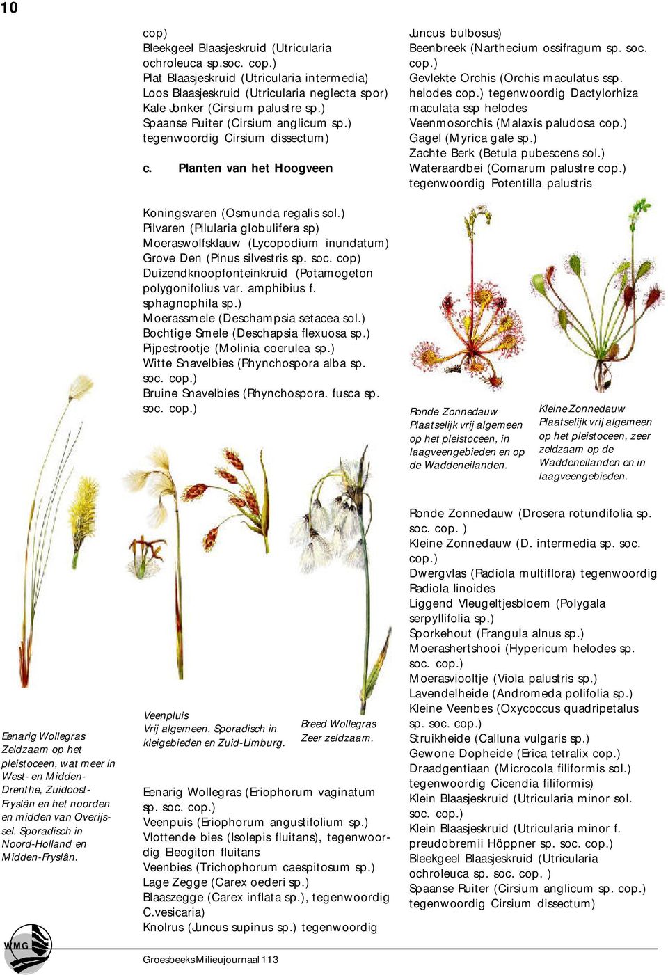 ) Gevlekte Orchis (Orchis maculatus ssp. helodes cop.) tegenwoordig Dactylorhiza maculata ssp helodes Veenmosorchis (Malaxis paludosa cop.) Gagel (Myrica gale sp.) Zachte Berk (Betula pubescens sol.