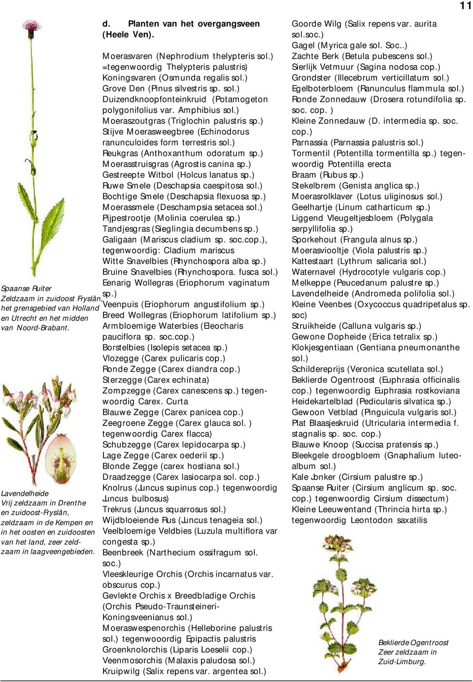 Moerasvaren (Nephrodium thelypteris sol.) =tegenwoordig Thelypteris palustris) Koningsvaren (Osmunda regalis sol.) Grove Den (Pinus silvestris sp. sol.) polygonifolius var. Amphibius sol.