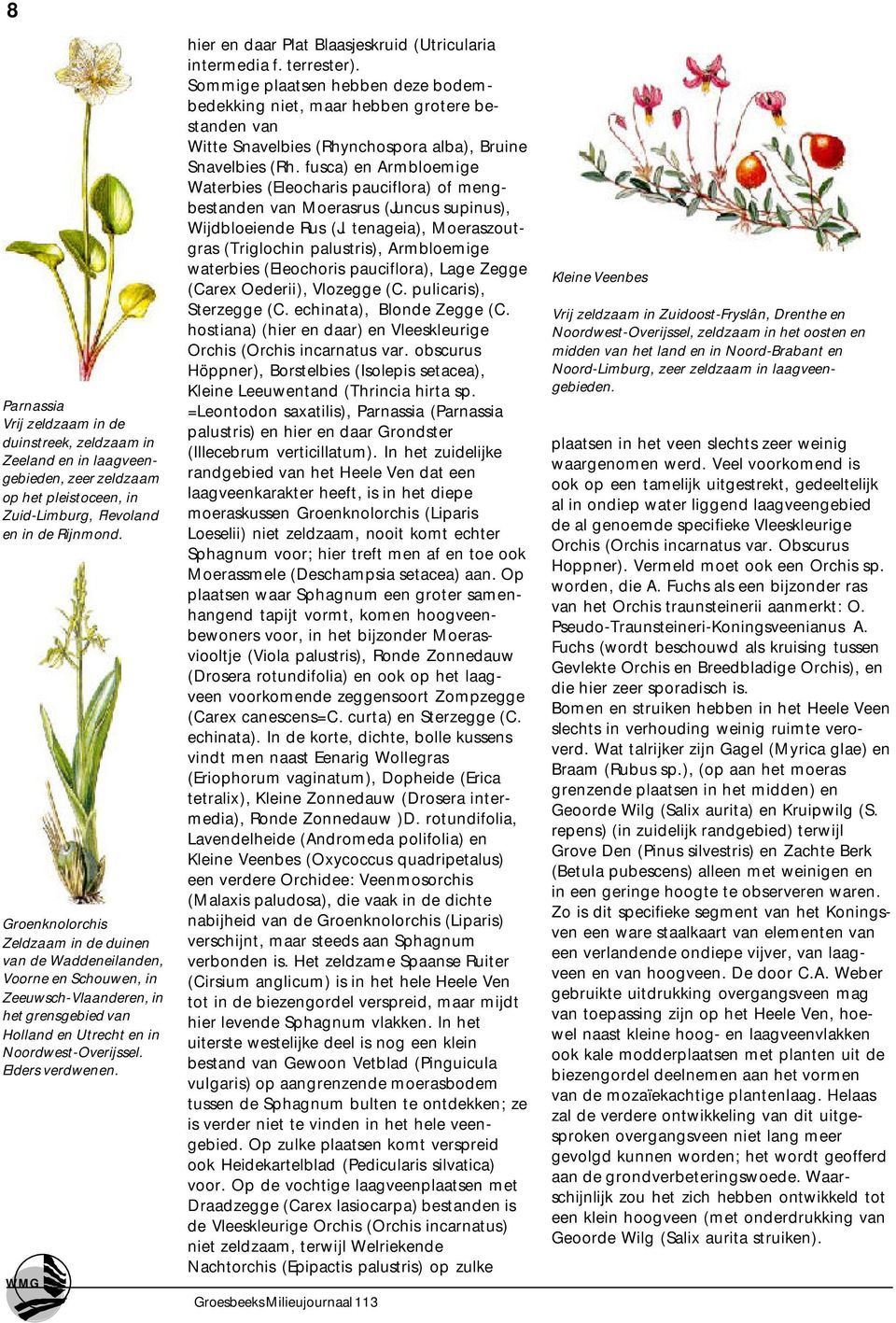 WMG hier en daar Plat Blaasjeskruid (Utricularia intermedia f. terrester).