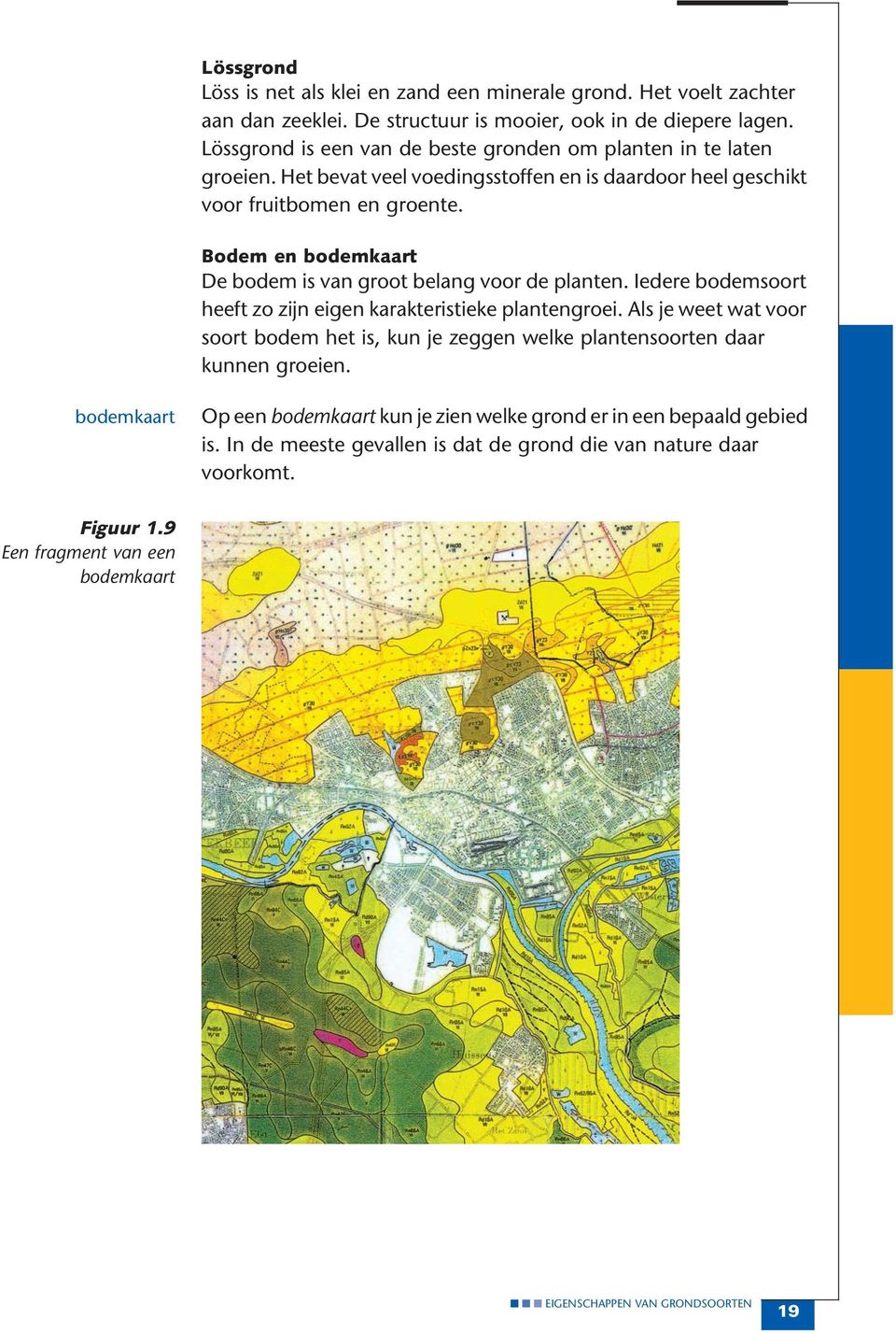 Bodem en bodemkaart De bodem is van groot belang voor de planten. Iedere bodemsoort heeft zo zijn eigen karakteristieke plantengroei.