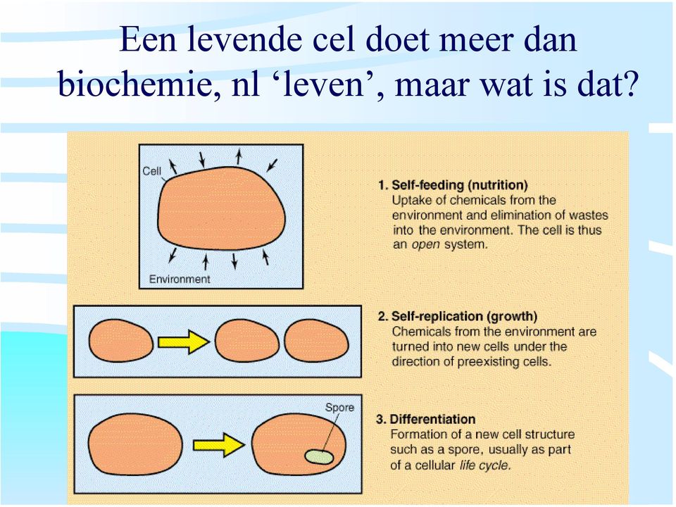 biochemie, nl