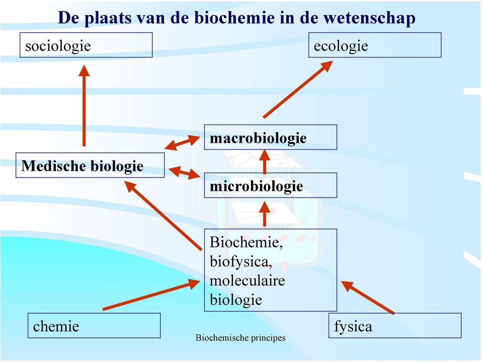 biologie macrobiologie microbiologie