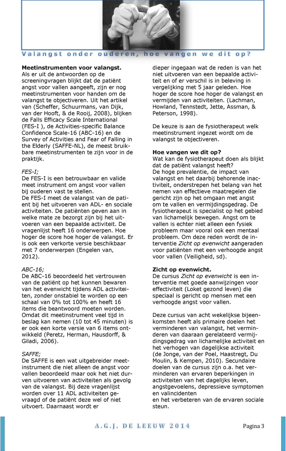 Uit het artikel van (Scheffer, Schuurmans, van Dijk, van der Hooft, & de Rooij, 2008), blijken de Falls Efficacy Scale International (FES-I ), de Activities-specific Balance Confidence Scale-16