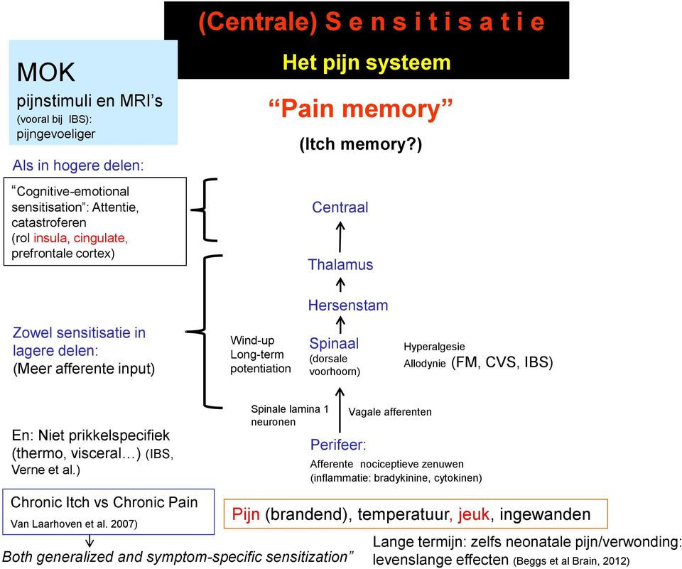 ) Centraal Thalamus Hersenstam Zowel sensitisatie in lagere delen: (Meer afferente input) Wind-up Long-term potentiation Spinaal (dorsale voorhoorn) Hyperalgesie Allodynie (FM, CVS, IBS) En: Niet