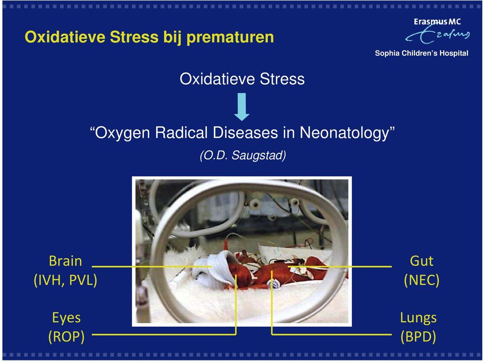 Diseases in Neonatology (O.D.