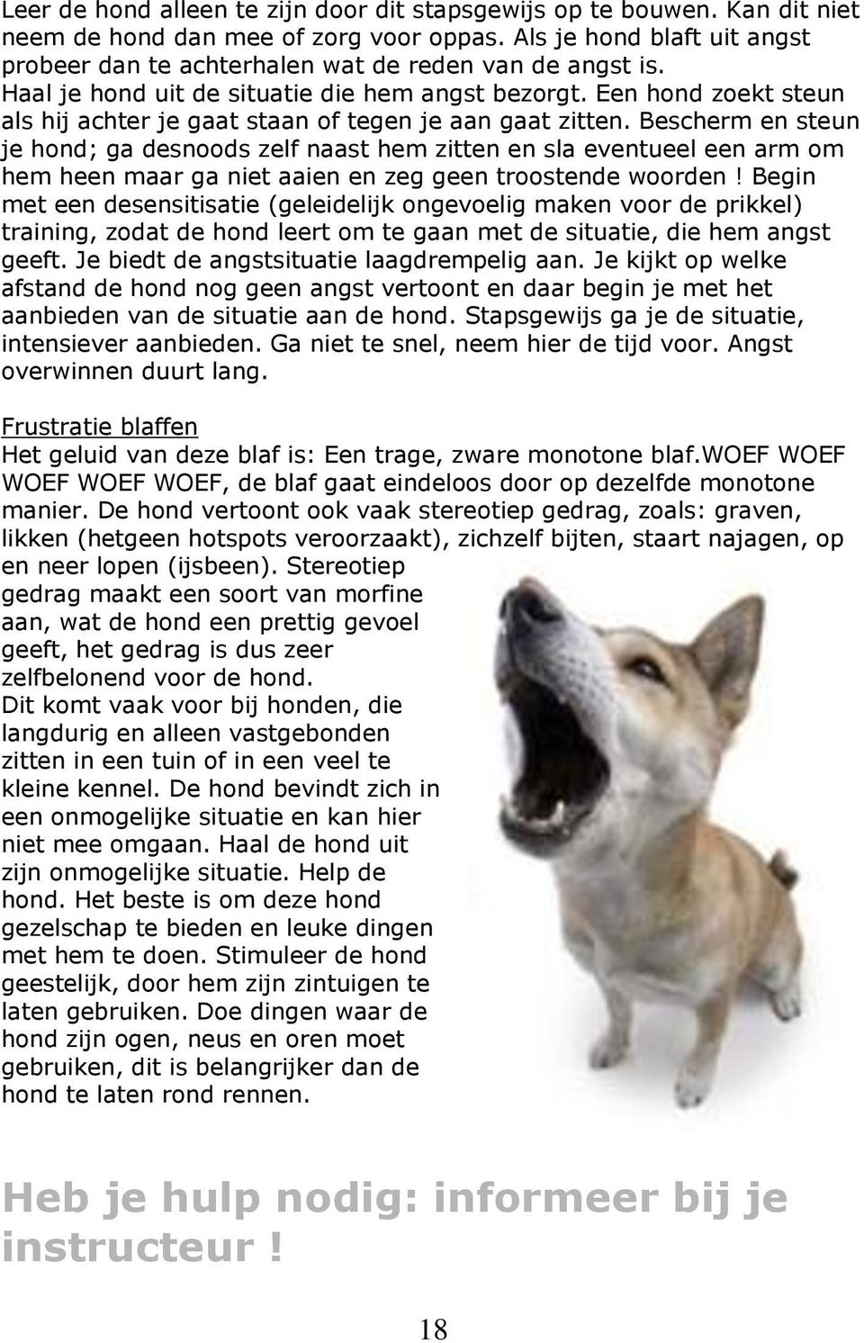 Een hond zoekt steun als hij achter je gaat staan of tegen je aan gaat zitten.