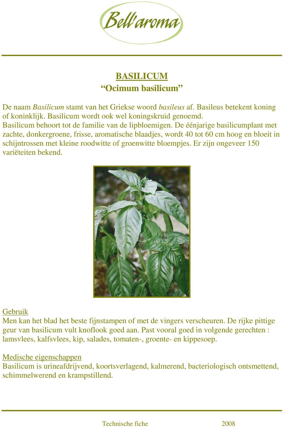 De éénjarige basilicumplant met zachte, donkergroene, frisse, aromatische blaadjes, wordt 40 tot 60 cm hoog en bloeit in schijntrossen met kleine roodwitte of groenwitte bloempjes.