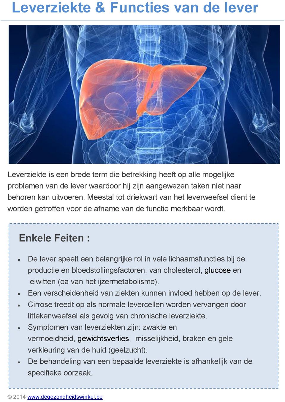 Enkele Feiten : De lever speelt een belangrijke rol in vele lichaamsfuncties bij de productie en bloedstollingsfactoren, van cholesterol, glucose en eiwitten (oa van het ijzermetabolisme).