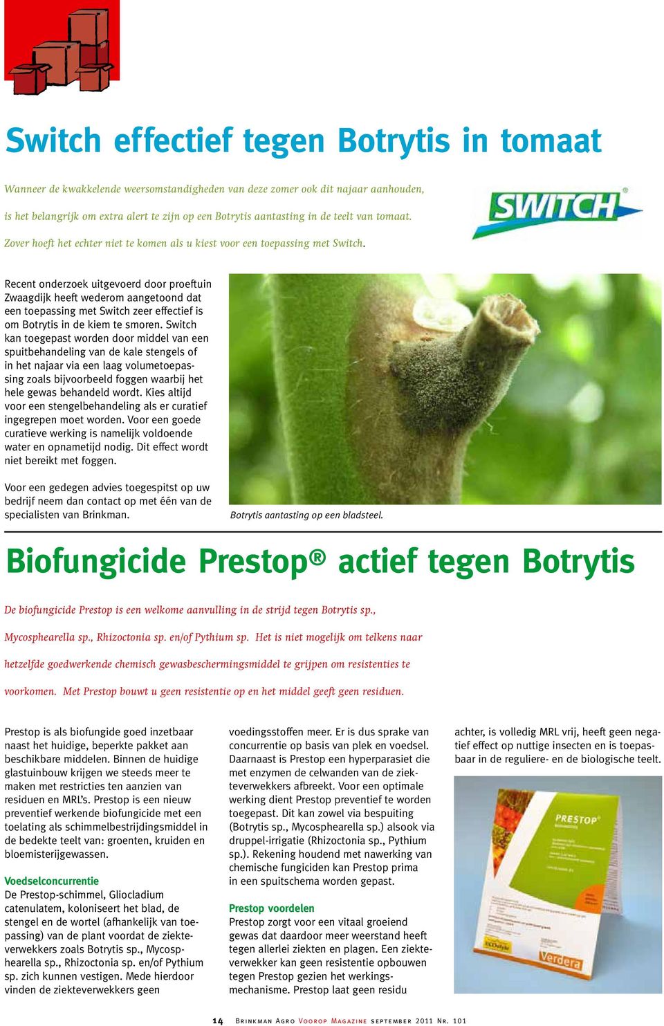 Recent onderzoek uitgevoerd door proeftuin Zwaagdijk heeft wederom aangetoond dat een toepassing met Switch zeer effectief is om Botrytis in de kiem te smoren.