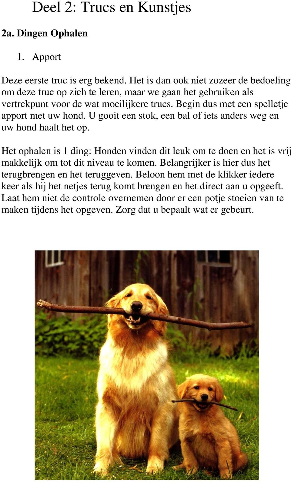 Begin dus met een spelletje apport met uw hond. U gooit een stok, een bal of iets anders weg en uw hond haalt het op.