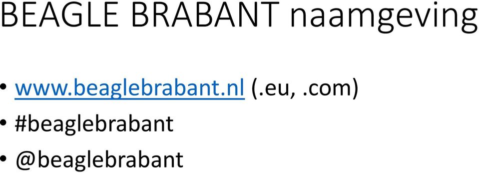 beaglebrabant.nl (.