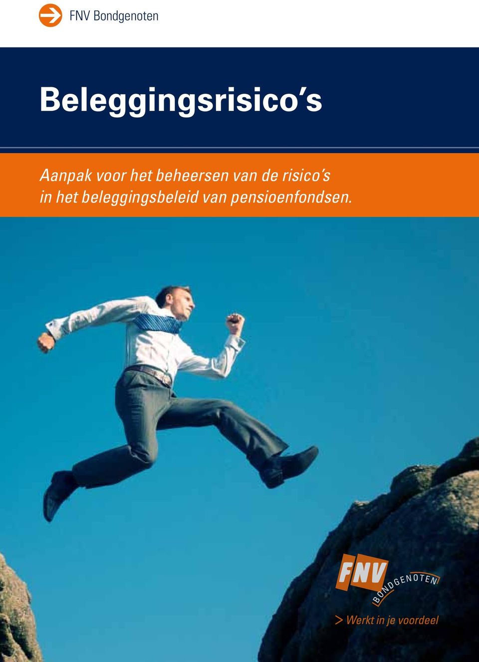 het beheersen van de risico s