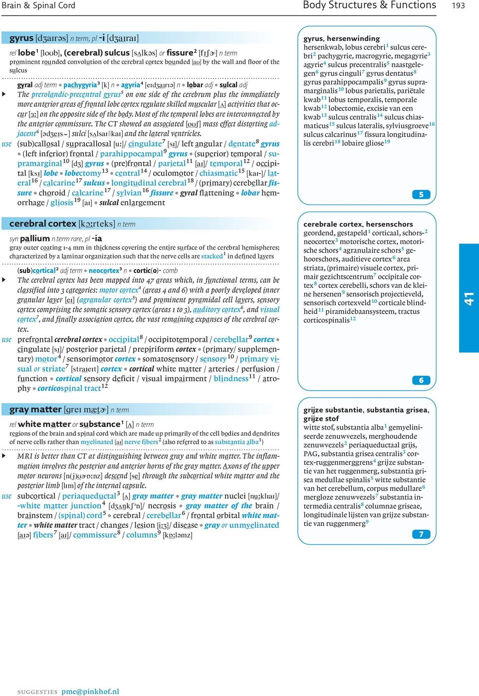 the cerebrum plus the immediately more anterior areas of frontal lobe cortex regulate skilled muscular [ˆ] activities that occur [ :] on the opposite side of the body.