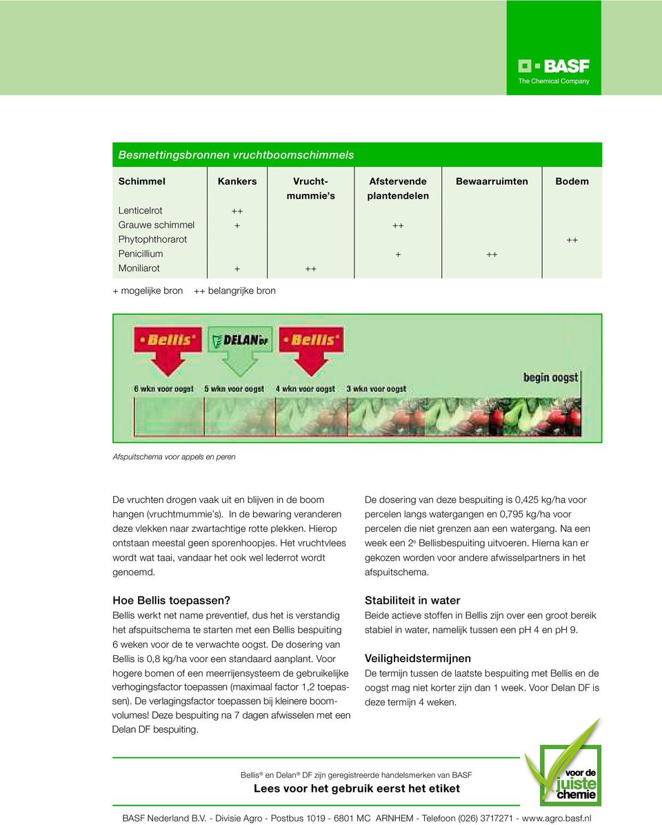 In de bewaring veranderen deze vlekken naar zwartachtige rotte plekken. Hierop ontstaan meestal geen sporenhoopjes. Het vruchtvlees wordt wat taai, vandaar het ook wel lederrot wordt genoemd.